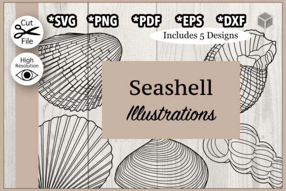 Download Detailed Seashells Outline Bundle - Detailed Collection