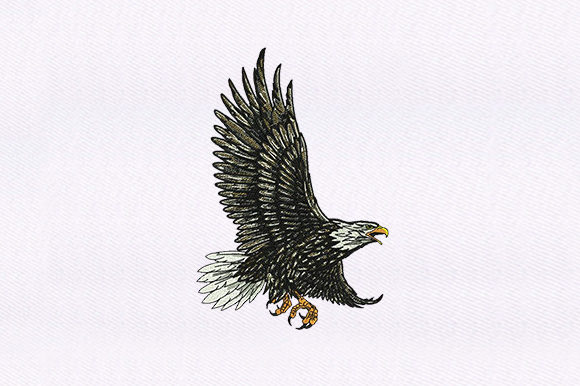 Download Feather Detailed Eagle Design - Detailed Collection