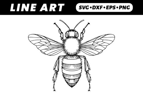 Download Line Art Bee Drawing, Detailed Wings - Detailed Collection