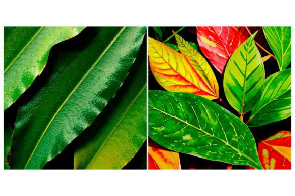 Download 2 Watercolor Leaf Pattern - Watercolor leaf Collection