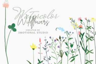 Download Watercolor Wildflowers High Res&nbsp; - High res Collection